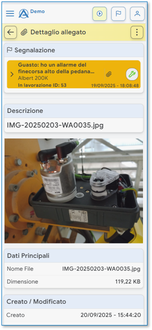 AnyMa screenshot